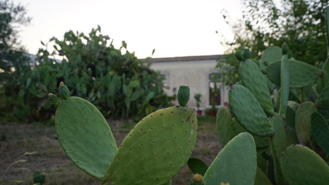 Villa Agriturismo Gaia Noto Exterior foto